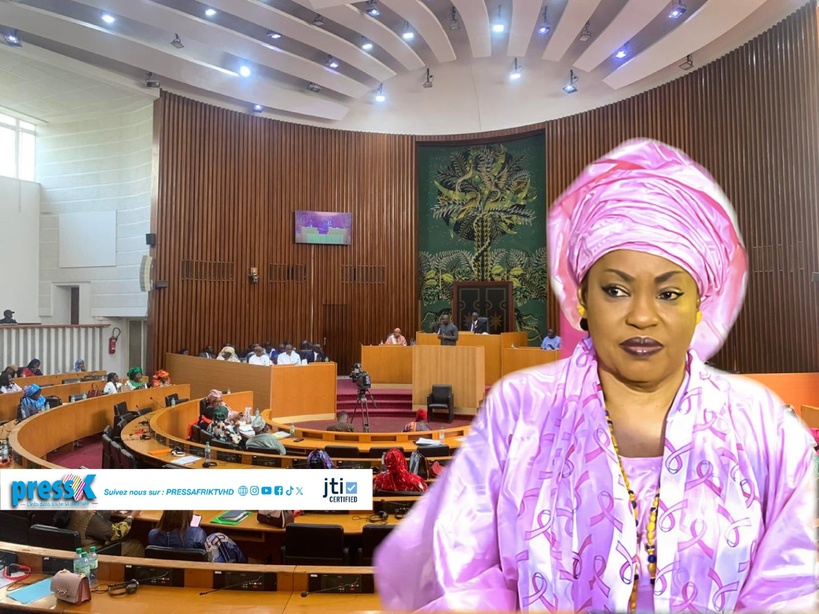 Levée de l'immunité parlementaire de Salimata Diop : voici 11 membres de la commission ad hoc Levée de l'immunité parlementaire de Salimata Diop : voici 11 membres de la commission ad hoc