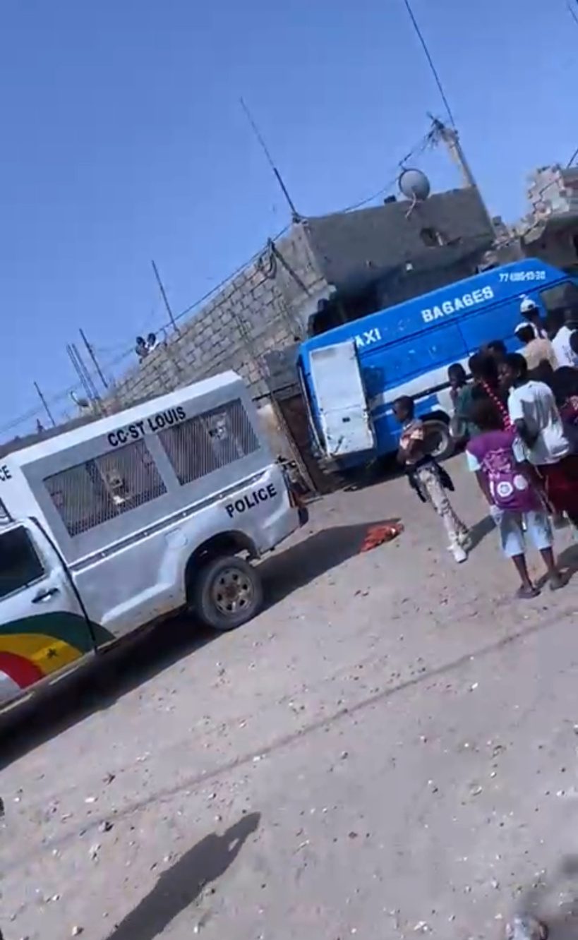 Saint-Louis : un gang de voleurs de bétails démantelé, quatre (4) personnes arrêtées Saint-Louis : un gang de voleurs de bétails démantelé, quatre (4) personnes arrêtées