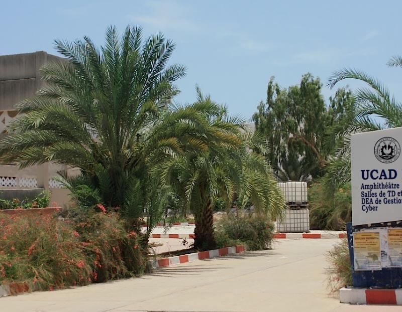 Keur Massar : la coopérative UCAD 4 dénonce une tentative de spoliation de ses 10 hectares