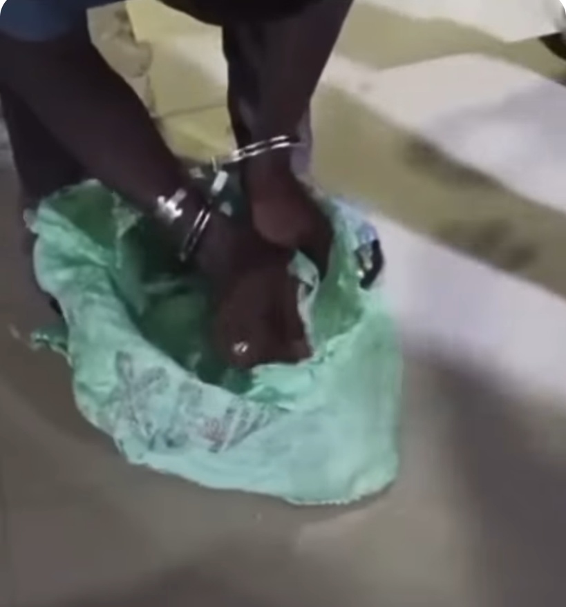 Médina - Affaire du chat abattu: un des individus arrêtés déclare "avoir besoin de la graisse du chat pour... " Médina - Affaire du chat abattu: un des individus arrêtés déclare "avoir besoin de la graisse du chat pour... "