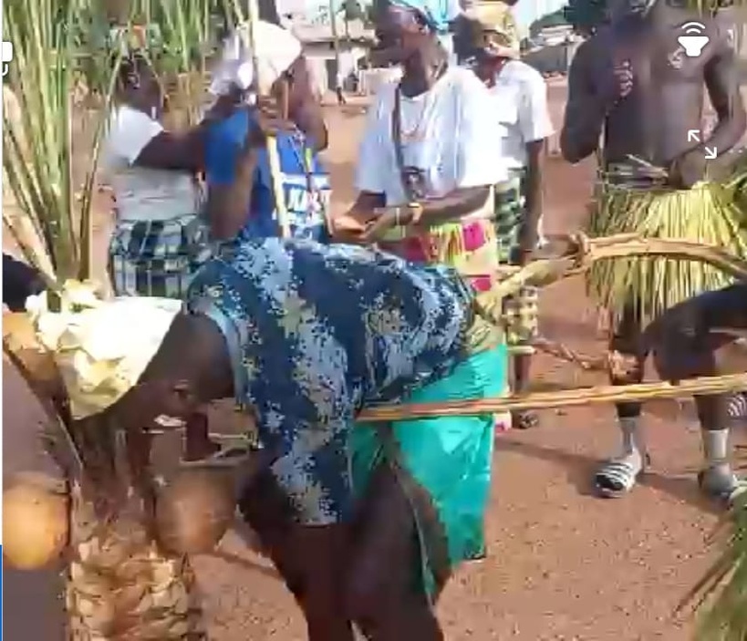Culture à Goudomp : Le Balantacounda vibre au rythme du premier carnaval de Djibanar Culture à Goudomp : Le Balantacounda vibre au rythme du premier carnaval de Djibanar