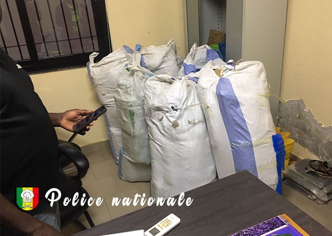 Mbour : saisie de 192 kg de chanvre indien sur la plage de Ndayane