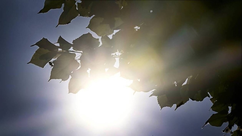 Alerte météo - Sénégal : un temps globalement ensoleillé, mais des orages attendus à l'extrême Sud-Est en fin de semaine