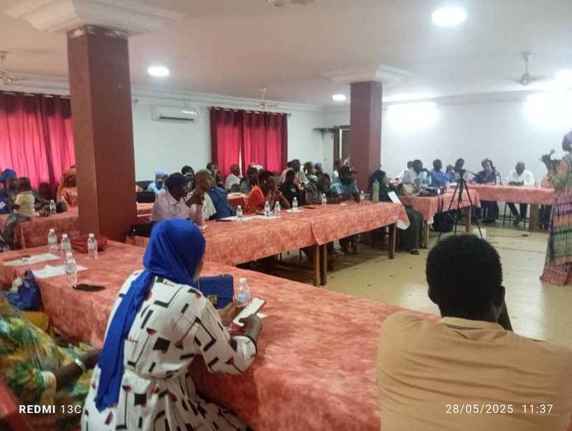 Autosuffisance maraîchère à Kolda : sept filiales unies pour une production horticole renforcée Autosuffisance maraîchère à Kolda : sept filiales unies pour une production horticole renforcée