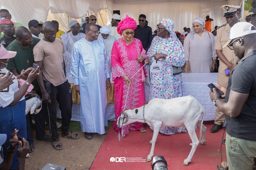 DER-FJ : Quand l’action publique perd sa boussole DER-FJ : Quand l’action publique perd sa boussole