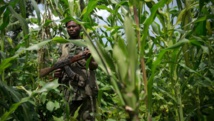 RDC: les autorités veulent rétablir le dialogue entre Hutus et Nandés
