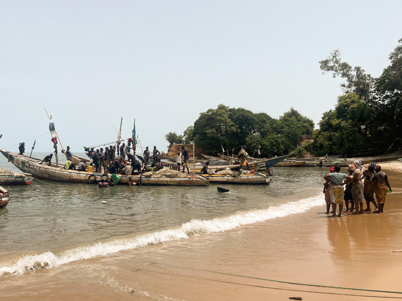 Sierra Leone: la disparition de l'île Plantain, une mémoire sur le point de s'effacer Sierra Leone: la disparition de l'île Plantain, une mémoire sur le point de s'effacer