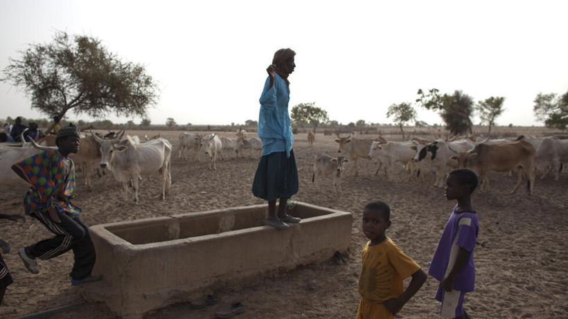 Sahel: la gestion de l'eau, source de conflits entre éleveurs et agriculteurs Sahel: la gestion de l'eau, source de conflits entre éleveurs et agriculteurs