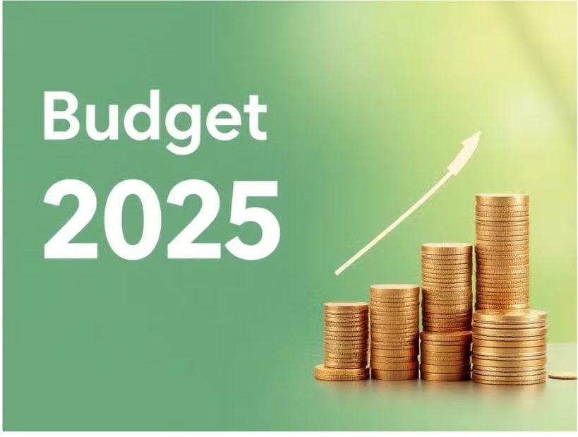 Budget 2025 : des recettes en hausse, mais des dons étrangers en chute libre (rapport) Budget 2025 : des recettes en hausse, mais des dons étrangers en chute libre (rapport)