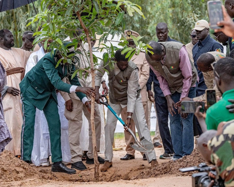 Campagne de reboisement 2025 : La région de Kolda vise la plantation de 750 000 arbres Campagne de reboisement 2025 : La région de Kolda vise la plantation de 750 000 arbres