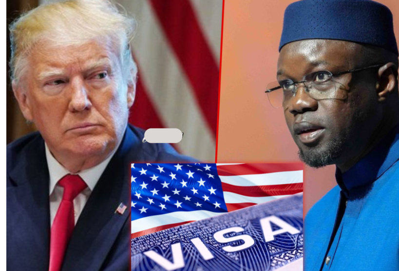 Refus de visa aux « Lionnes » du basket : l’ambassade des États-Unis s’explique Refus de visa aux « Lionnes » du basket : l’ambassade des États-Unis s’explique