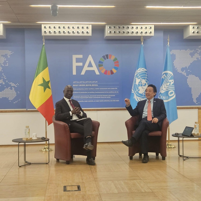 44e Conférence de la FAO : le ministre Mabouba Diagne installé comme président 44e Conférence de la FAO : le ministre Mabouba Diagne installé comme président