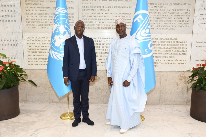 Organisation mondiale de la santé animale : Dr Baba Soumare nommé Directeur général adjoint Organisation mondiale de la santé animale : Dr Baba Soumare nommé Directeur général adjoint