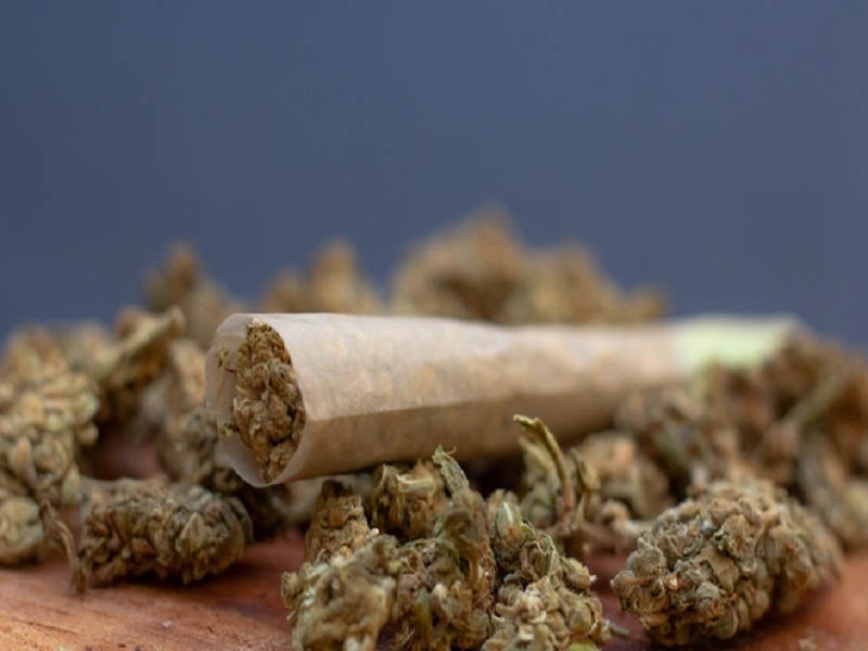 Goudomp : le Forum Civil alerte sur la consommation de drogue chez les jeunes