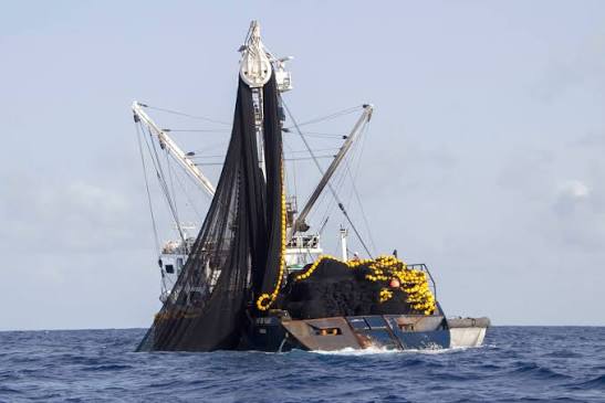 L’UPAMES appelle à boycotter les produits issus de la pêche illicite