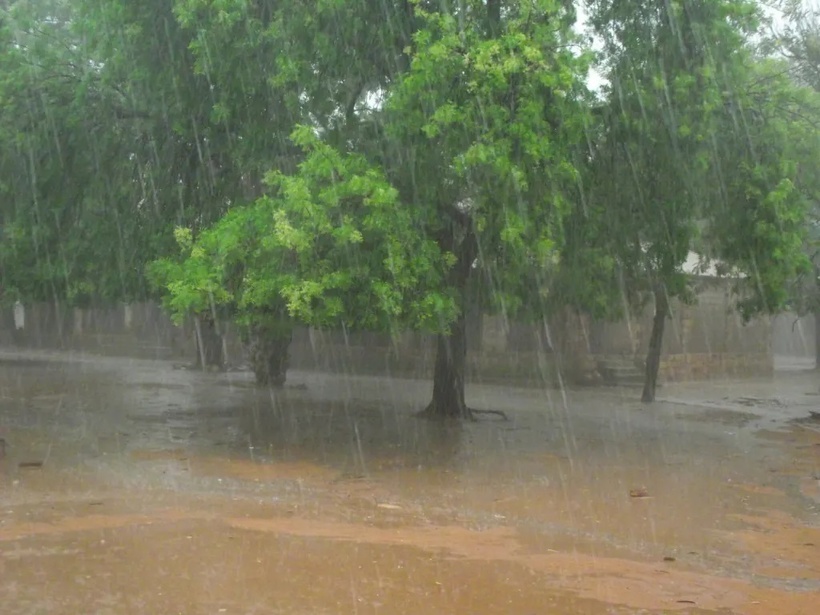 Alerte météo : des pluies et orages attendus cette nuit à Matam, Bakel et Podor, selon l’ANACIM Alerte météo : des pluies et orages attendus cette nuit à Matam, Bakel et Podor, selon l’ANACIM