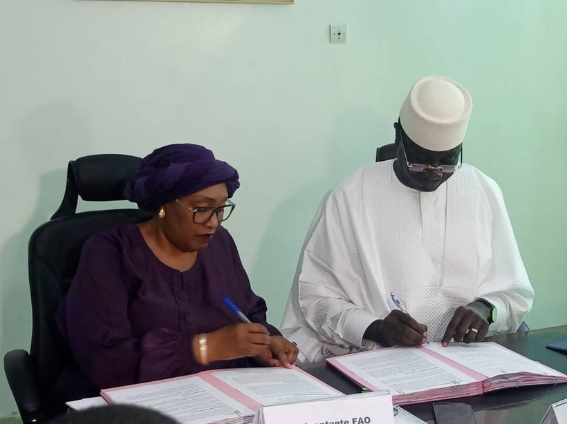 Projet SURAGGWA : 222 millions de dollars débloqué pour la Grande Muraille Verte Projet SURAGGWA : 222 millions de dollars débloqué pour la Grande Muraille Verte