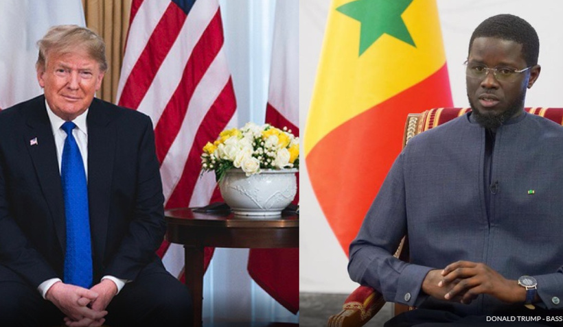 Trump encense Diomaye : « Il paraît jeune, mais il fait un travail fantastique » Trump encense Diomaye : « Il paraît jeune, mais il fait un travail fantastique »