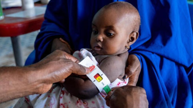 Nigeria: le nord-est du pays en proie à une crise alimentaire sans précédent