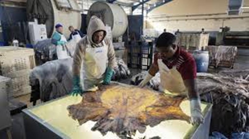 Droits de douane américains: les pays et les producteurs d’Afrique craignent les conséquences