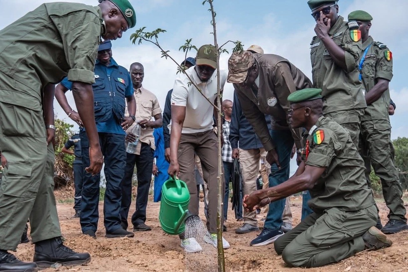 Bassirou Diomaye Faye lance la caravane de reboisement : “Chaque arbre planté est un acte de patriotisme environnemental” Bassirou Diomaye Faye lance la caravane de reboisement : “Chaque arbre planté est un acte de patriotisme environnemental”