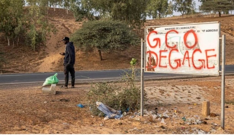 Les pays d’Afrique de l’Ouest s’émancipent du joug économique occidental, (Par Moussa Diouf) Les pays d’Afrique de l’Ouest s’émancipent du joug économique occidental, (Par Moussa Diouf)