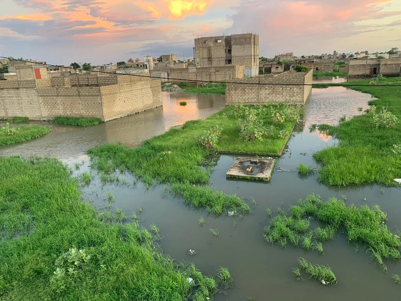 Kaolack sous les eaux : la plateforme de lutte contre les inondations alerte et appelle à une intervention urgente de l’État Kaolack sous les eaux : la plateforme de lutte contre les inondations alerte et appelle à une intervention urgente de l’État