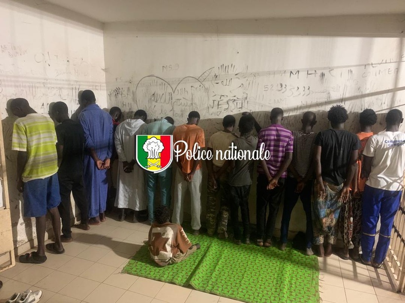 Opération d'envergure à Ngor : un réseau de trafic de drogue démantelé, 17 personnes arrêtées Opération d'envergure à Ngor : un réseau de trafic de drogue démantelé, 17 personnes arrêtées