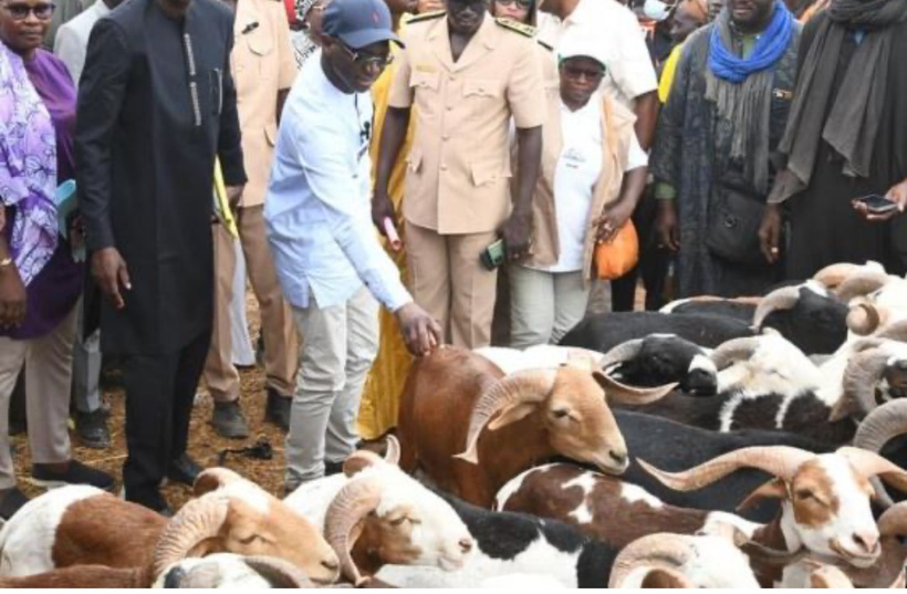 Magal 2025 : Plus de 2,5 millions de volailles et 5.000 bovins inspectés pour garantir la sécurité alimentaire Magal 2025 : Plus de 2,5 millions de volailles et 5.000 bovins inspectés pour garantir la sécurité alimentaire