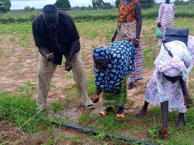 ​Agriculture et entrepreneuriat : le projet AVENIR transforme la vie des communautés au Sénégal