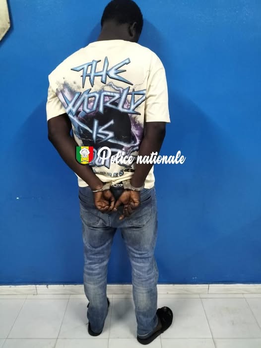 Golf-Sud : un faux bailleur arrêté pour "escroquerie à la location"