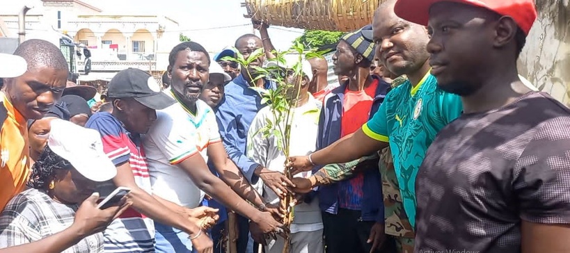 Kolda : PASTEF lance une campagne de reboisement avec 100 arbres plantés Kolda : PASTEF lance une campagne de reboisement avec 100 arbres plantés