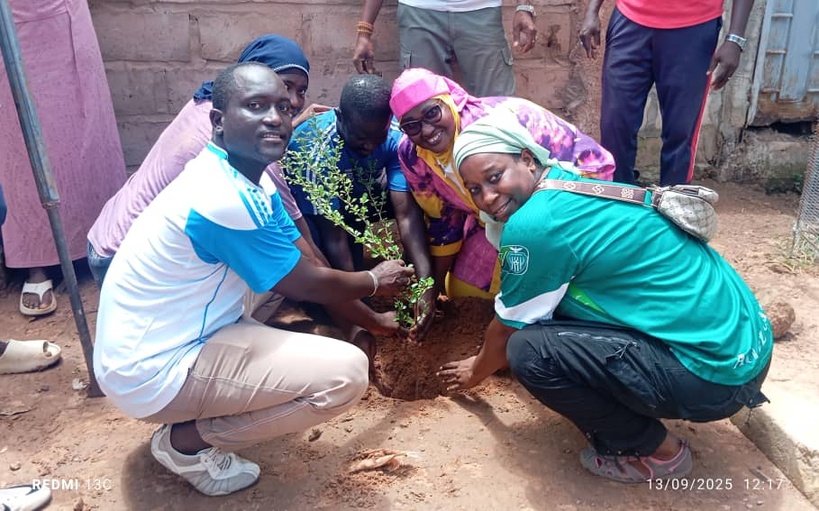 Reboisement à Kolda : la jeunesse de Bel Air plante 200 arbres pour répondre à l’appel du Chef de l’État