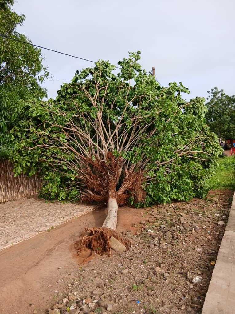 Alerte météo : un temps ensoleillé et des risques de pluies et d’orages localisés attendus ce dimanche