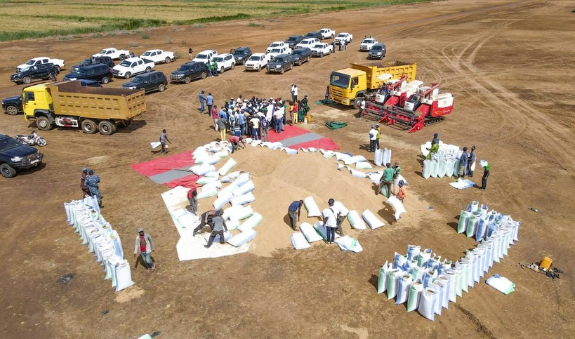Riziculture : la vallée du fleuve Sénégal enregistre un record historique de production de 420.000 tonnes de paddy Riziculture : la vallée du fleuve Sénégal enregistre un record historique de production de 420.000 tonnes de paddy