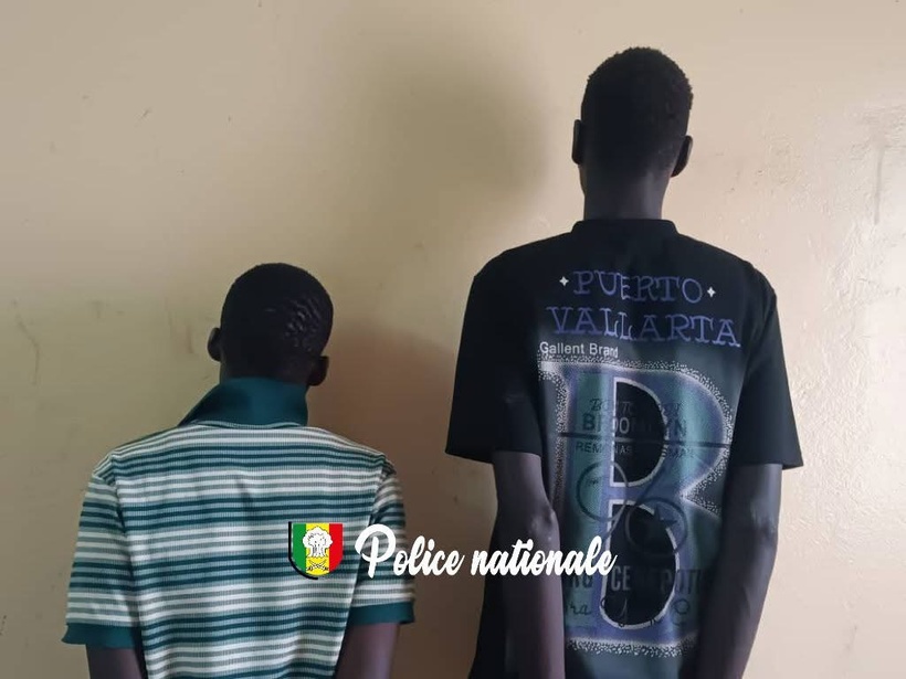 Parcelles Assainies : Deux (2) individus interpellés pour tentative de vol avec violences Parcelles Assainies : Deux (2) individus interpellés pour tentative de vol avec violences