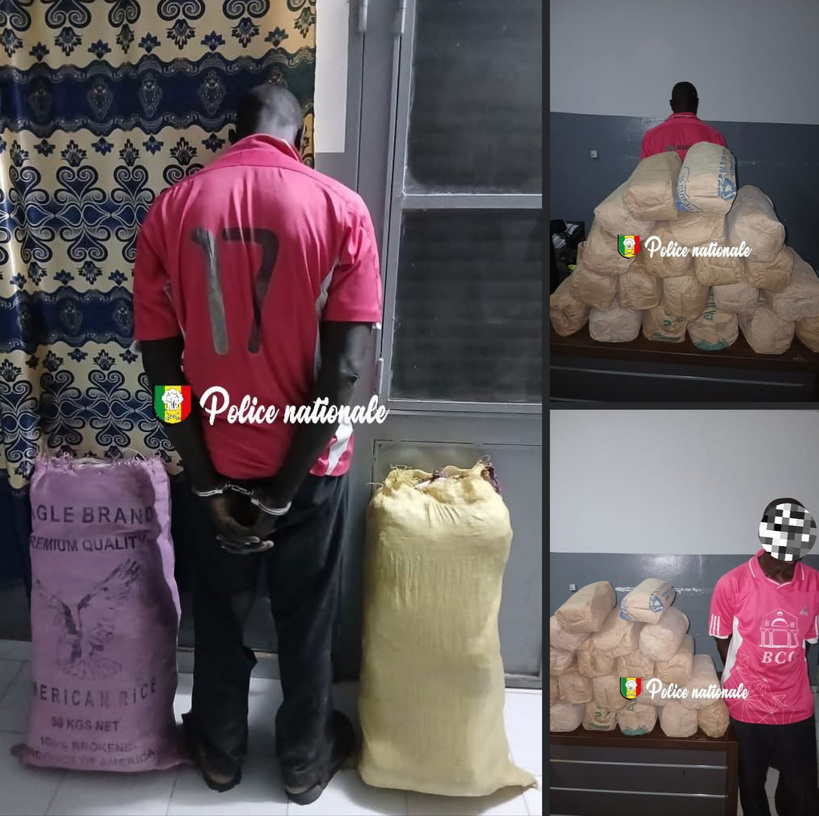 Sédhiou : un convoyeur arrêté avec 20 kg de chanvre indien Sédhiou : un convoyeur arrêté avec 20 kg de chanvre indien