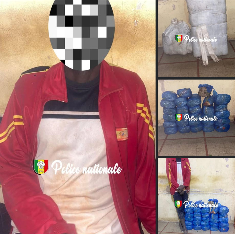 Kaolack : un homme arrêté avec 29 kg de chanvre indien Kaolack : un homme arrêté avec 29 kg de chanvre indien