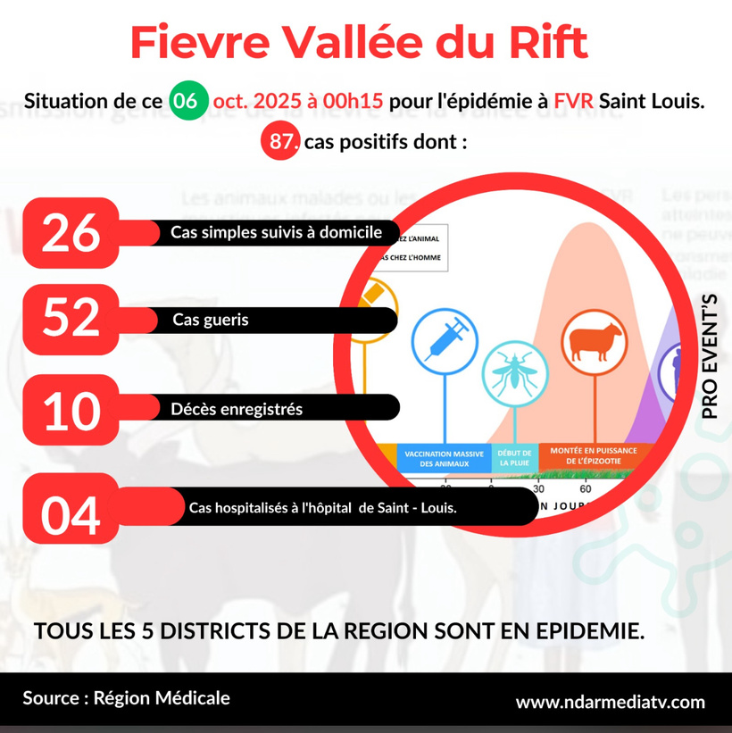 Fièvre de la Vallée du Rift à Saint-Louis : 87 cas, 52 guérisons et 10 décès, selon la région médicale Fièvre de la Vallée du Rift à Saint-Louis : 87 cas, 52 guérisons et 10 décès, selon la région médicale