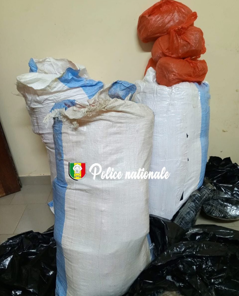 Mbour : 88 kg de chanvre indien saisis par la BRS de Thiès Mbour : 88 kg de chanvre indien saisis par la BRS de Thiès