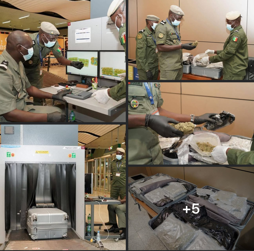 AIBD : saisie de 32,6 kg de haschich sur un passager en provenance d’Asie AIBD : saisie de 32,6 kg de haschich sur un passager en provenance d’Asie