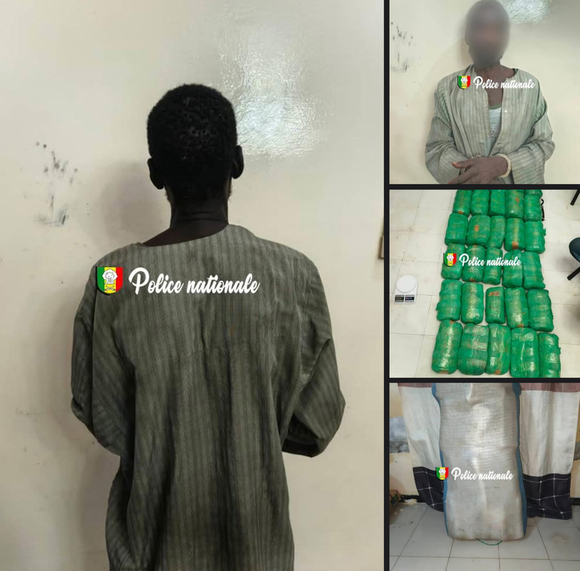 Saisie de 32,9 kg de chanvre indien à Touba : un trafiquant arrêté, son complice en fuite Saisie de 32,9 kg de chanvre indien à Touba : un trafiquant arrêté, son complice en fuite