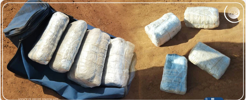 Kaffrine: 7kg de chanvre indien saisis, les mises en causes placés en garde à vue Kaffrine: 7kg de chanvre indien saisis, les mises en causes placés en garde à vue