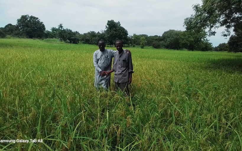 Tournée agricole à Kolda : les riziculteurs plaident pour des équipements postrécoltes et des magasins de stockage Tournée agricole à Kolda : les riziculteurs plaident pour des équipements postrécoltes et des magasins de stockage