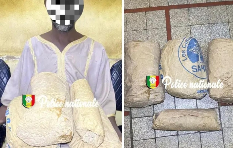 Village de Mboudaye (Fatick) : un cultivateur âgé de 61 ans arrêté avec 3 plantes de chanvre indien Village de Mboudaye (Fatick) : un cultivateur âgé de 61 ans arrêté avec 3 plantes de chanvre indien