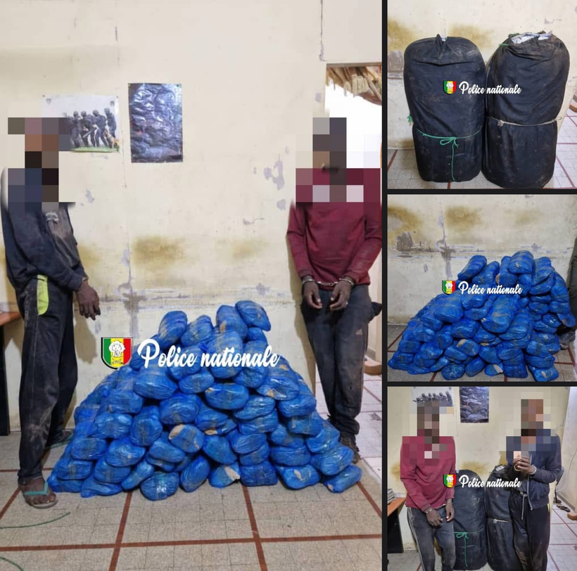 Kaolack : deux trafiquants interpellés et 83 kg de chanvre indien saisis Kaolack : deux trafiquants interpellés et 83 kg de chanvre indien saisis