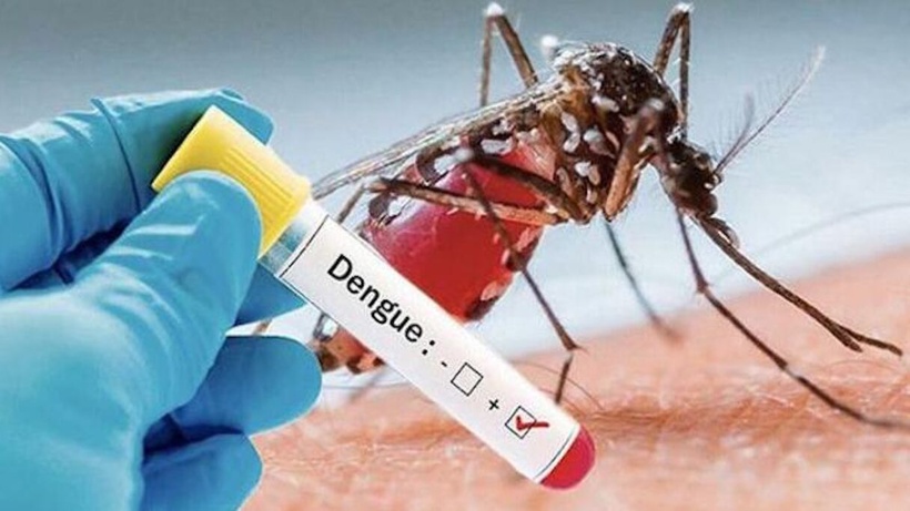 Flambée de la maladie de Dengue : 31 cas déjà enregistrés au district sanitaire de Pikine