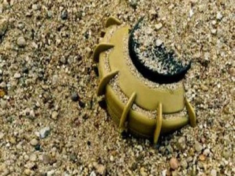 Niaga (Sédhiou) : un cultivateur amputé après avoir sauté sur une mine antipersonnel  Niaga (Sédhiou) : un cultivateur amputé après avoir sauté sur une mine antipersonnel