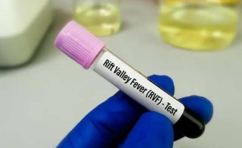 Fièvre de la Vallée du Rift : 5 nouveaux cas et 1 décès enregistrés