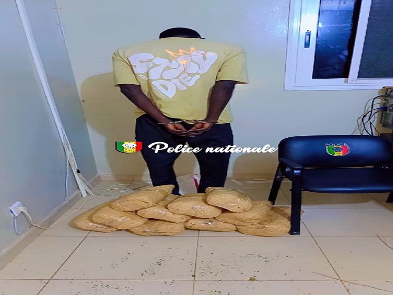 Rufisque : 10 kg de chanvre indien saisis au quai de pêche, un individu interpellé